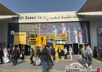 Intersec 2025 | 第26屆迪拜勞保展精彩回顧，下屆展會(huì)定檔！